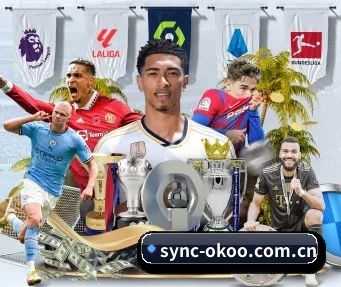 sync-okoo.com.cn APP - okooo